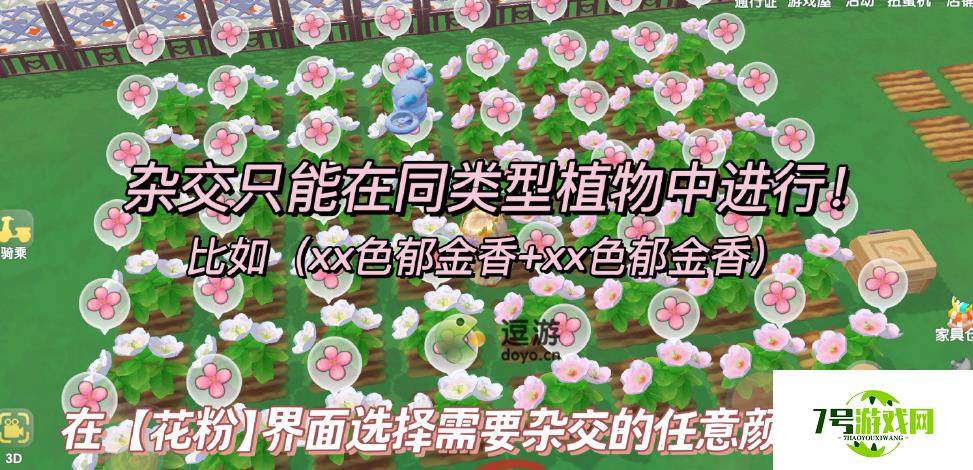 摩尔庄园花卉授粉攻略 