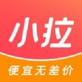 小拉出行乘客端app手机安卓版下载  v1.5.4