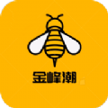 金峰潮任务平台分红app下载  v1.0.78