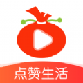 葱花视频app官方版下载  v1.2.4 