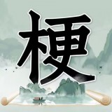 玩梗高手v1.0 