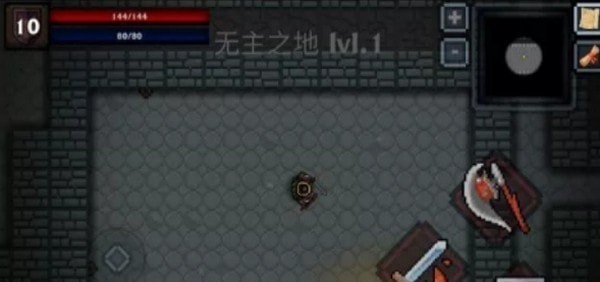 口袋盗贼无限金币版